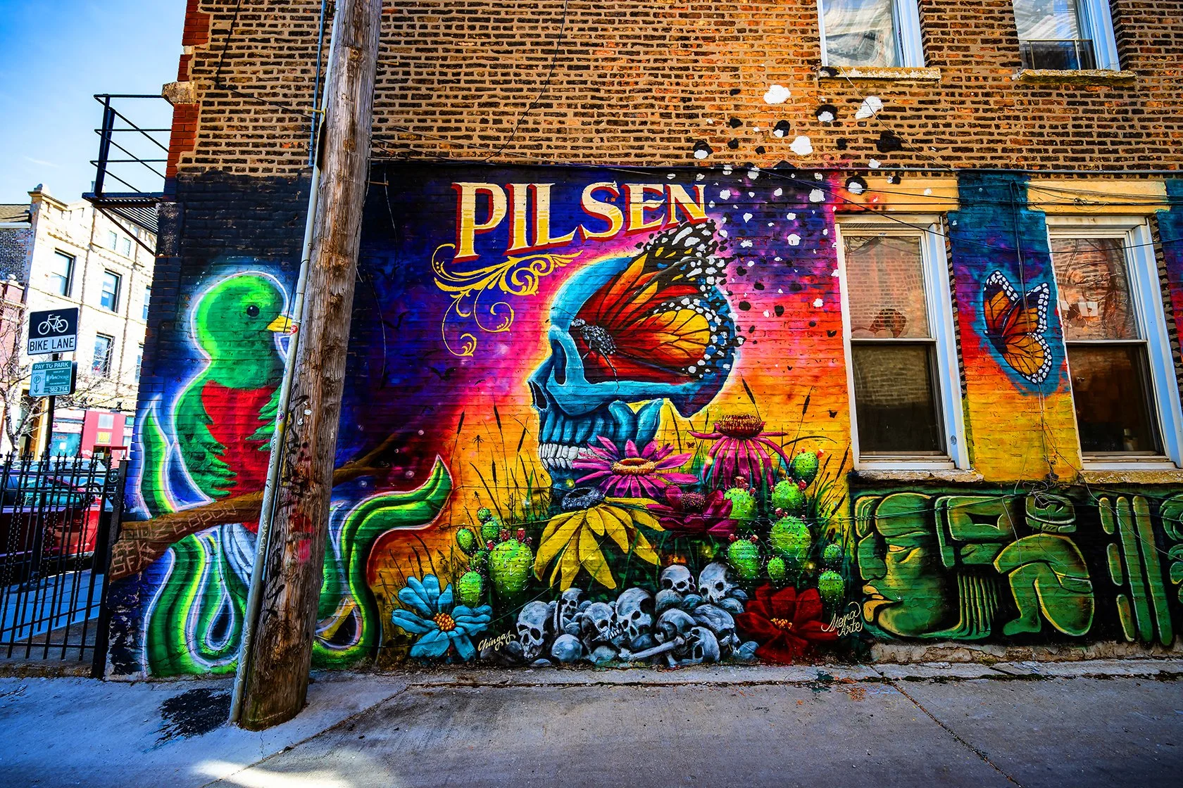 A Day in Pilsen + Garfield Park Conservatory: Coffee, Culture, and Finding Beauty in the City 🌷