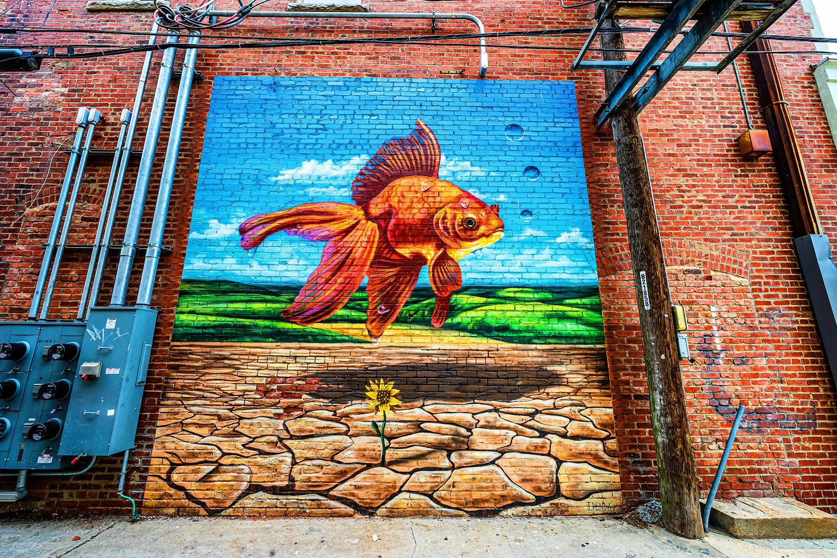 A Favorite Stop in Manhattan, Kansas on the Way to Colorado 🎨