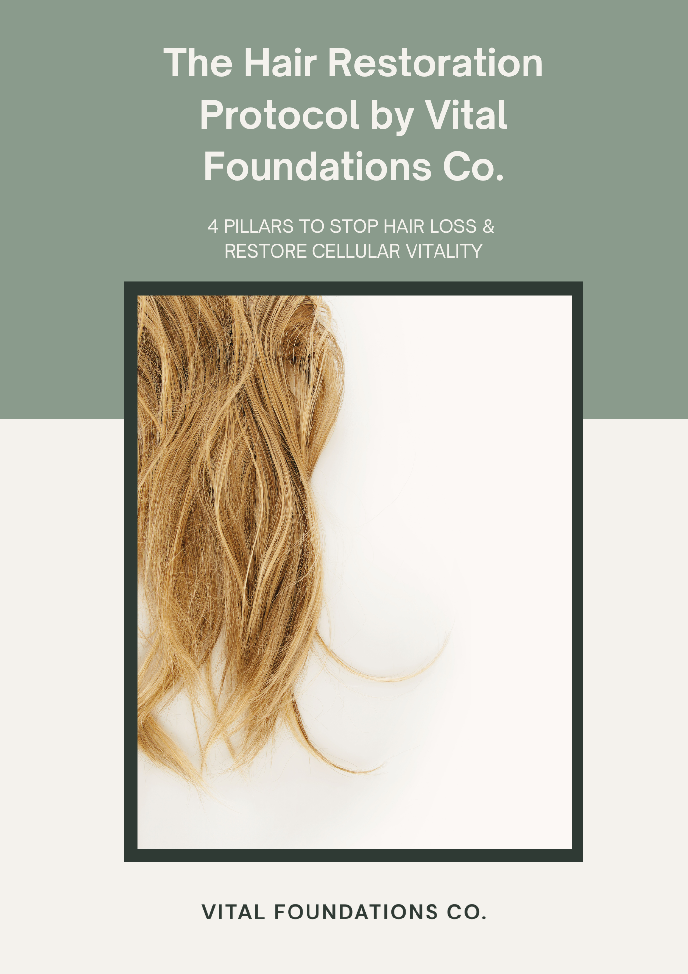 The Natural Hair Restoration Blueprint - 64 Page Comprehensive Plan to Address Root Cause