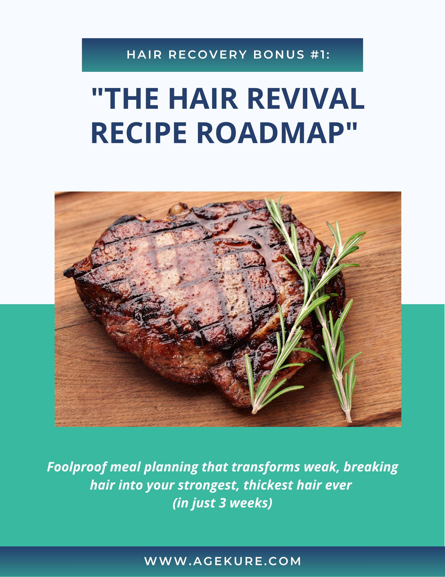 1.0 Hair Revival Recipe Roadmap.png