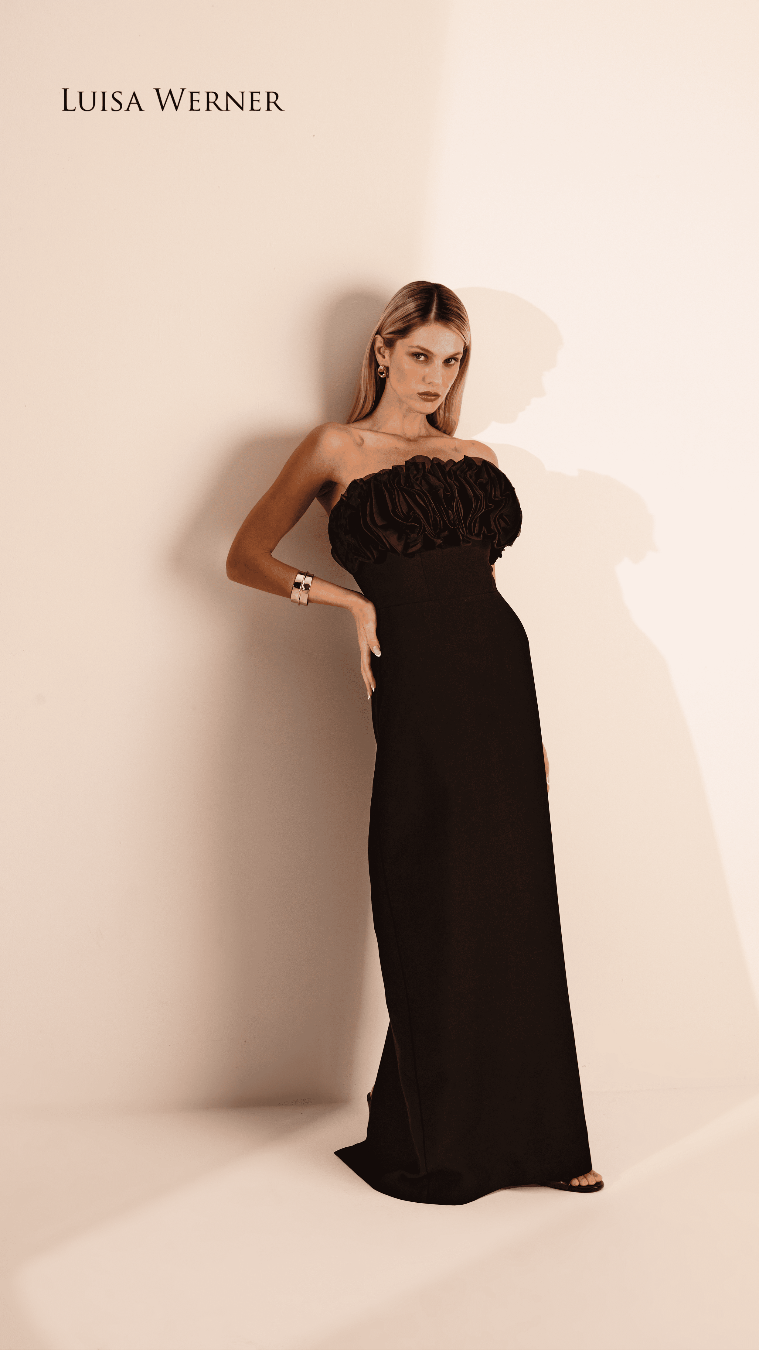 Stories Luisa Werner  Janeiro (80).png