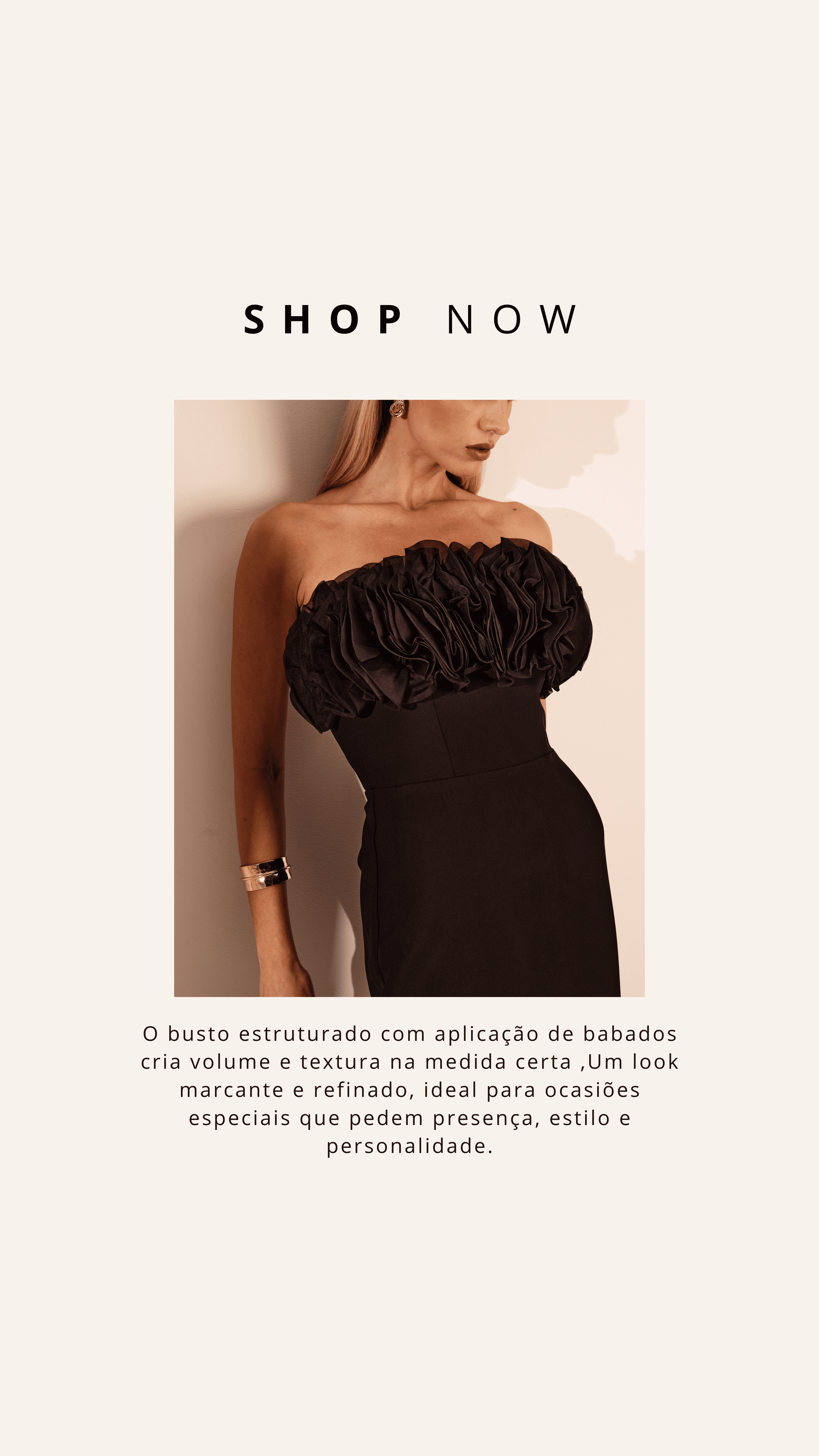 Stories Luisa Werner  Janeiro (81).png