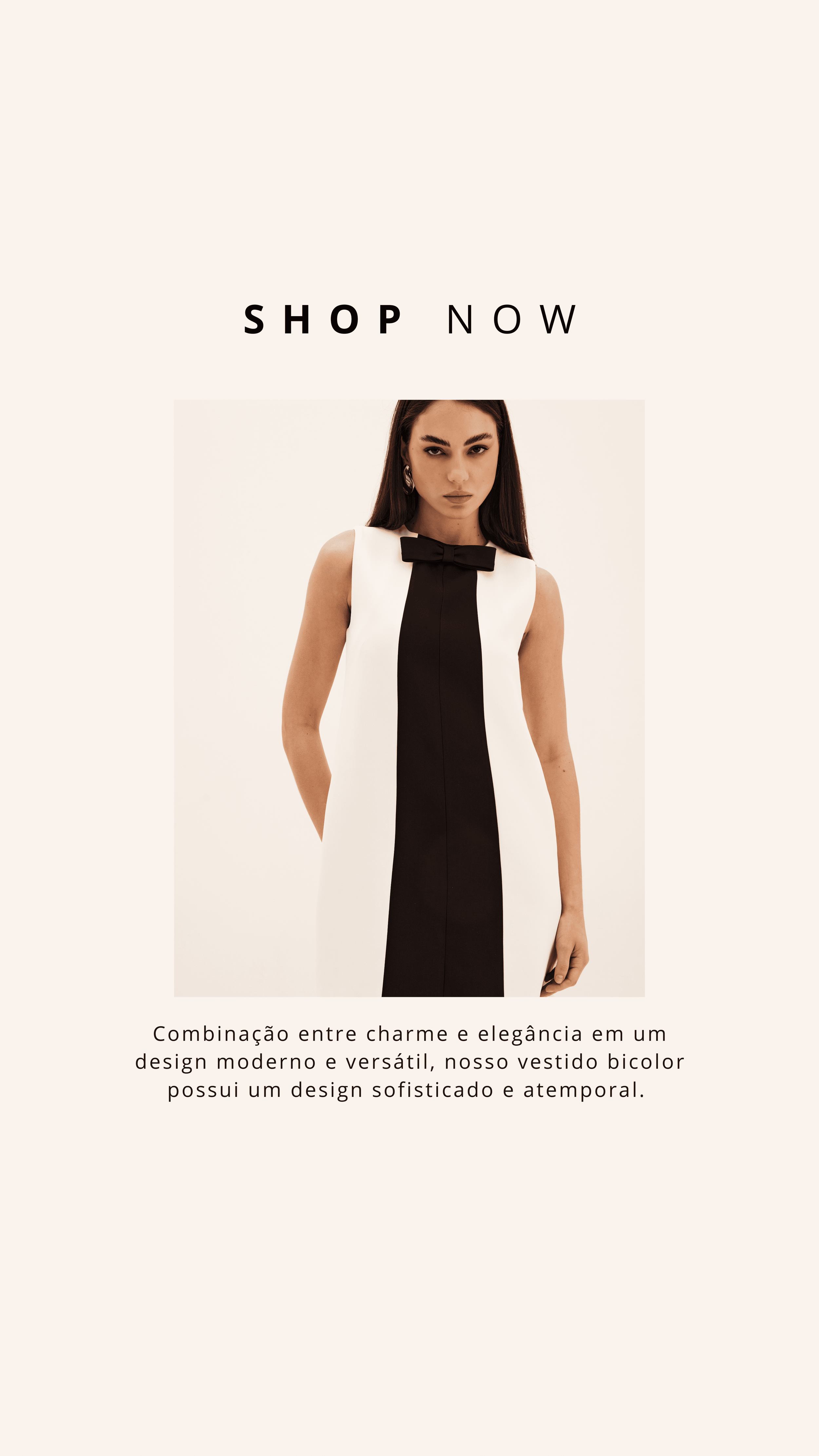 Stories Luisa Werner  Janeiro (61).png