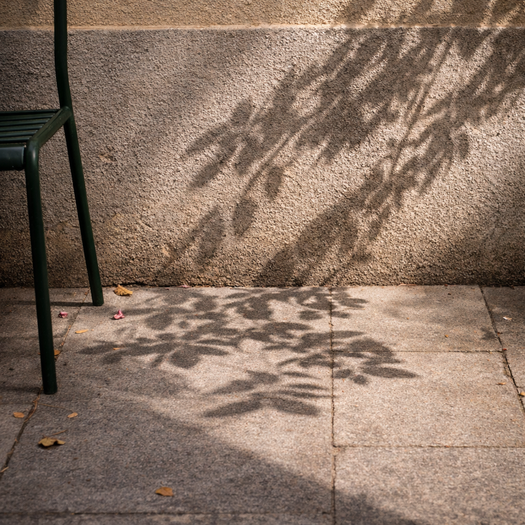 Close view of the shadow of a leafy branch on a pale wall and pavement, with part of a green chair visible at the edge of the frame.