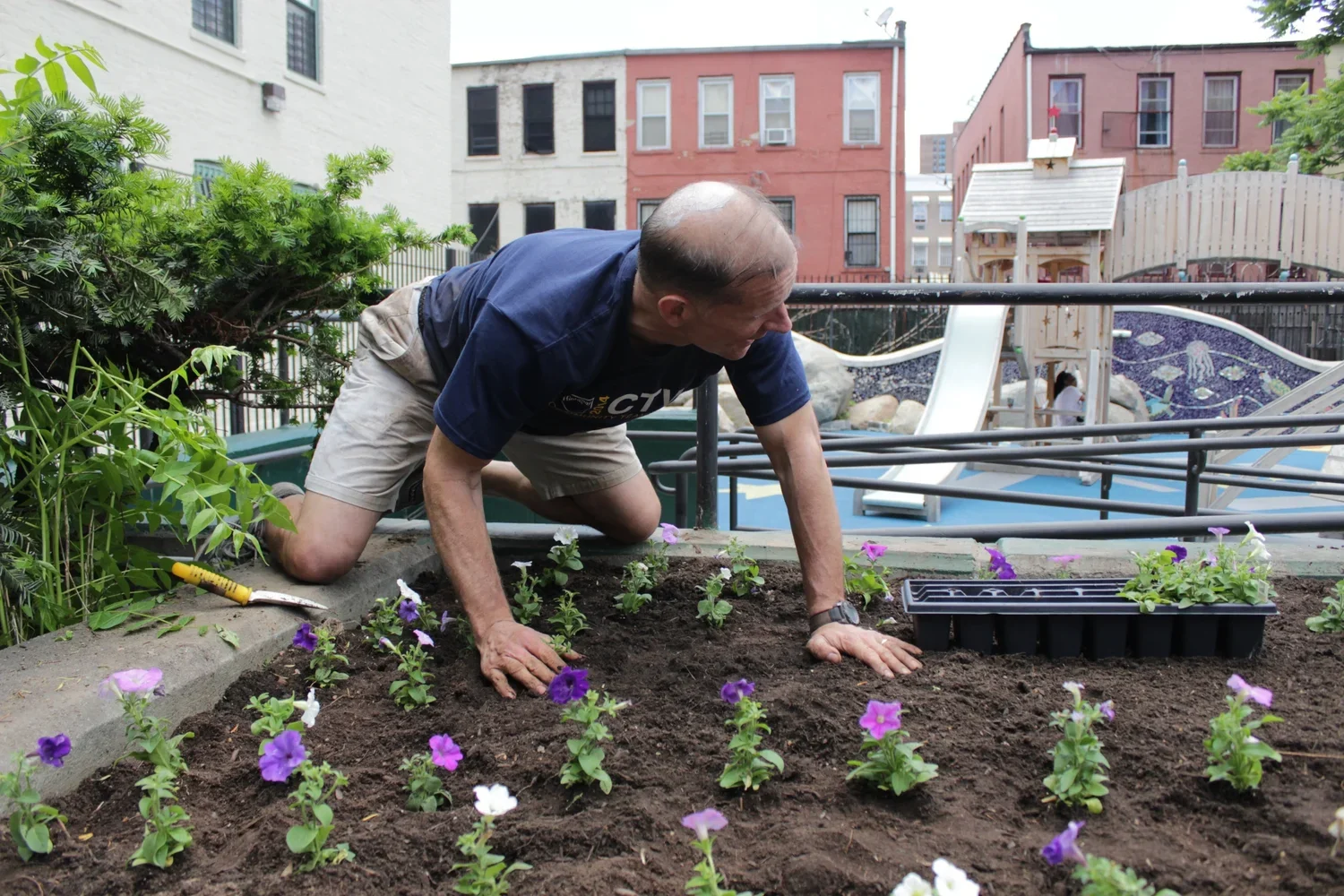 Hayden Lord Park 3.webp