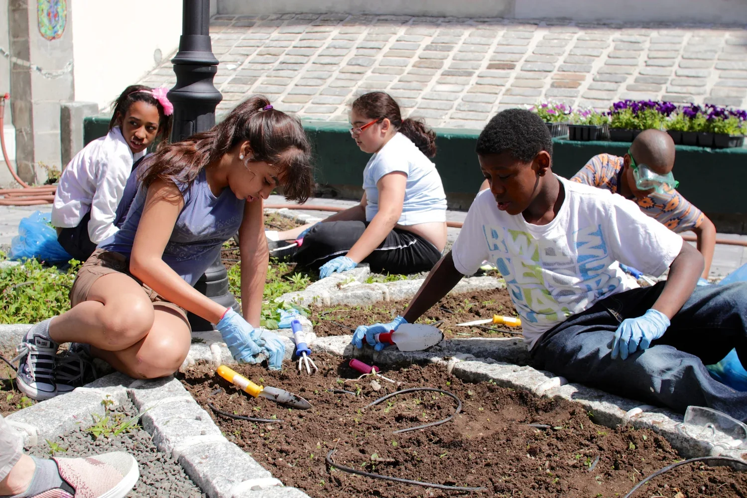 Hayden Lord Park 10.webp