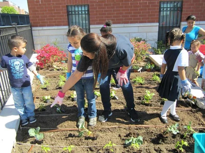 Little Scholars Early Development Center I & II 16.webp