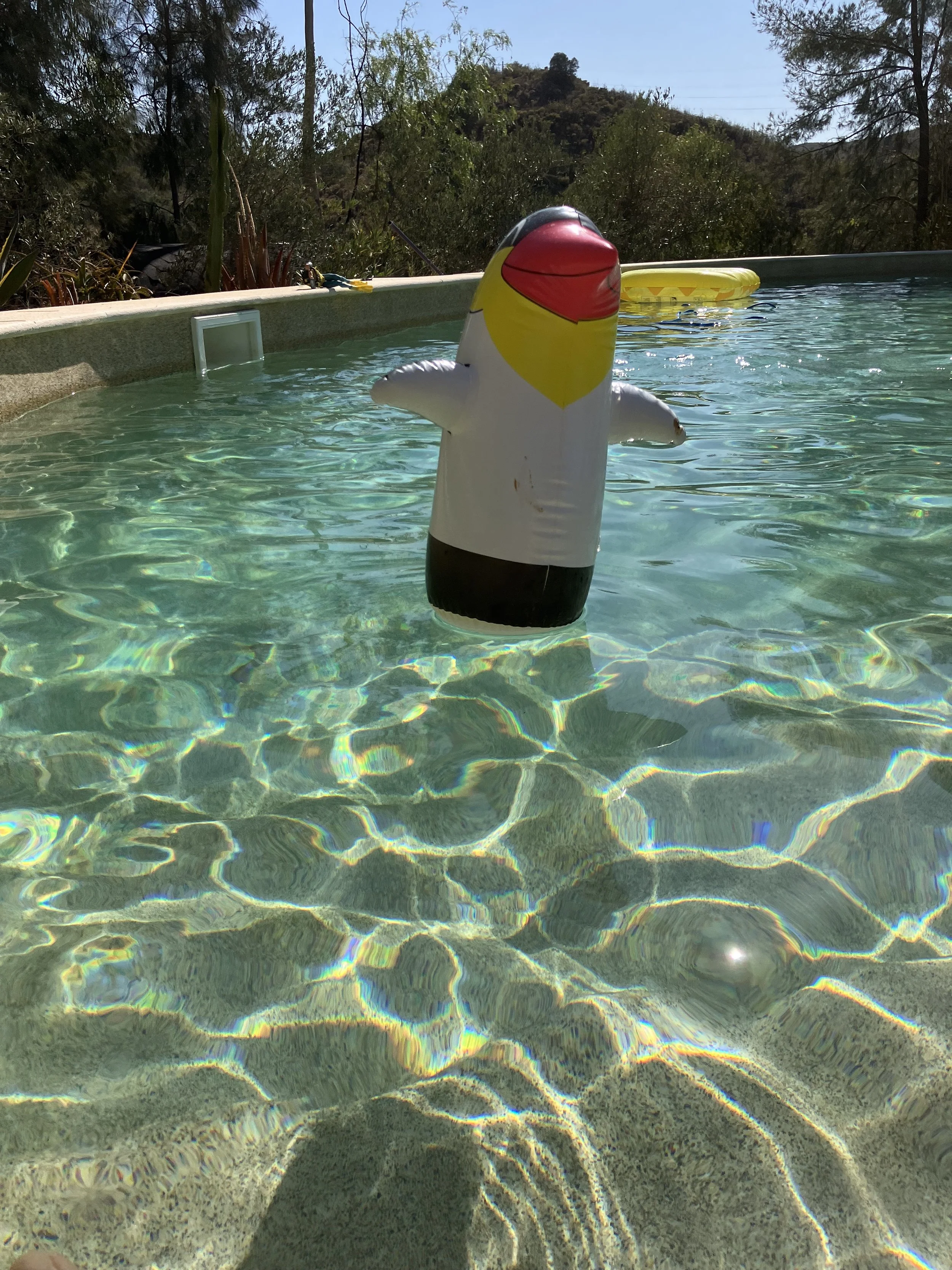 Inflatable duck float in a swimming pool with a backdrop of trees and hills.