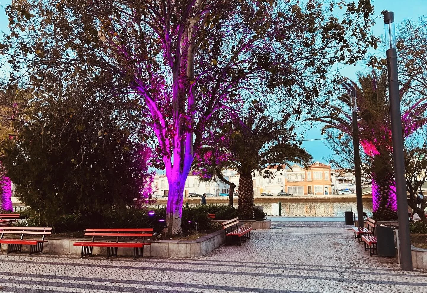 #tavira looking festive early evening. #casapaztavira #curralboieiros