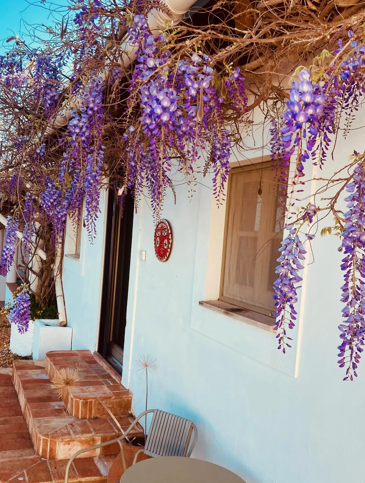 Feels like spring #casapaz #curralboieiros #tavira #holidaysinnature #weddingsinnature