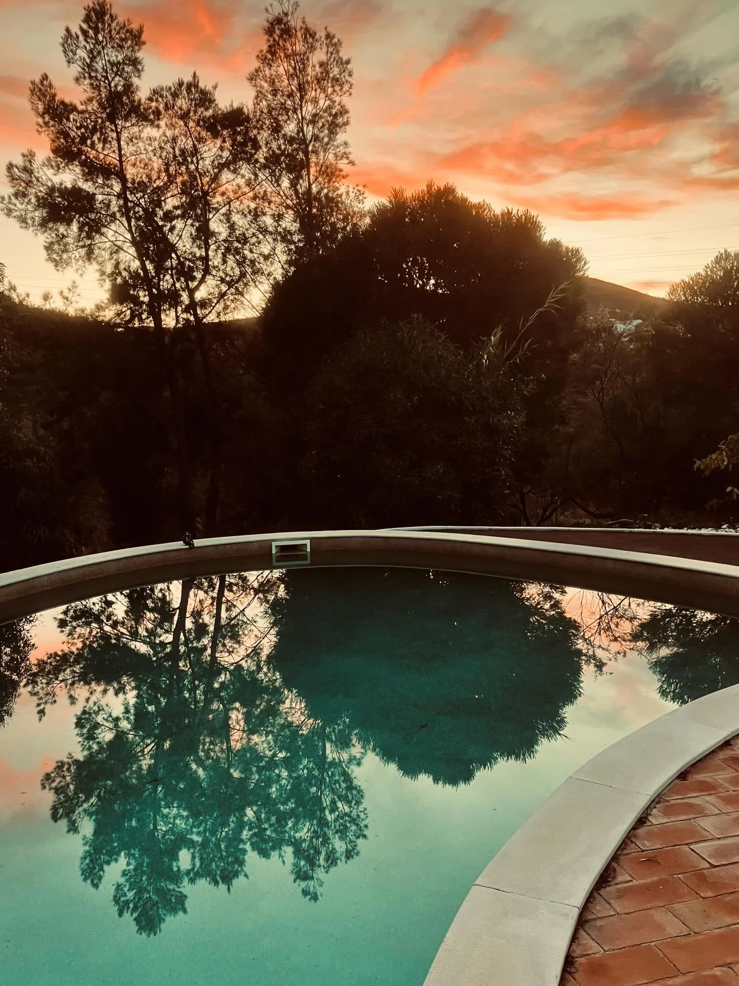 Summers Coming #casapaztavira #curralboieiros #tavira #holidaysinnature