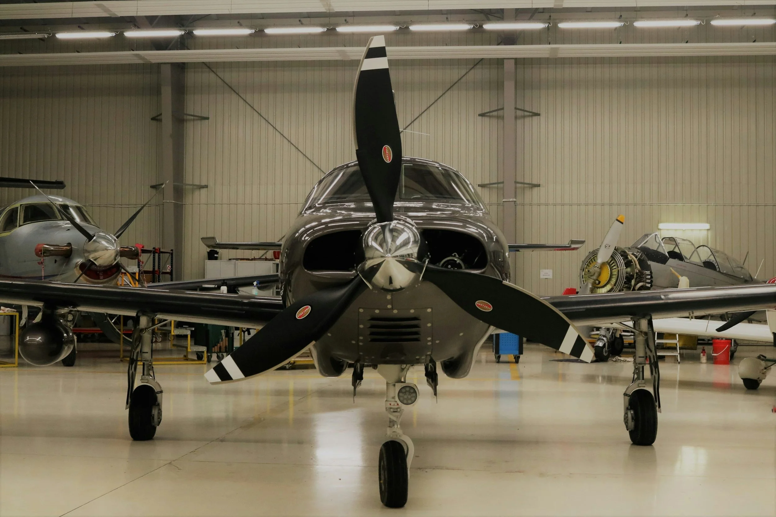 A small, black and white single-engine aircraft with the tail number N442EC, parked on an asphalt surface with yellow markings.