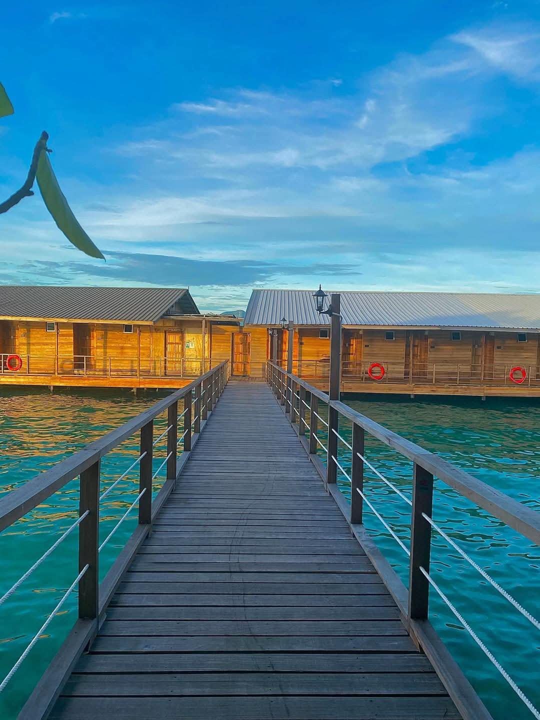 WhatsApp Image 2026-02-27 at 12.27.28 PM.jpeg