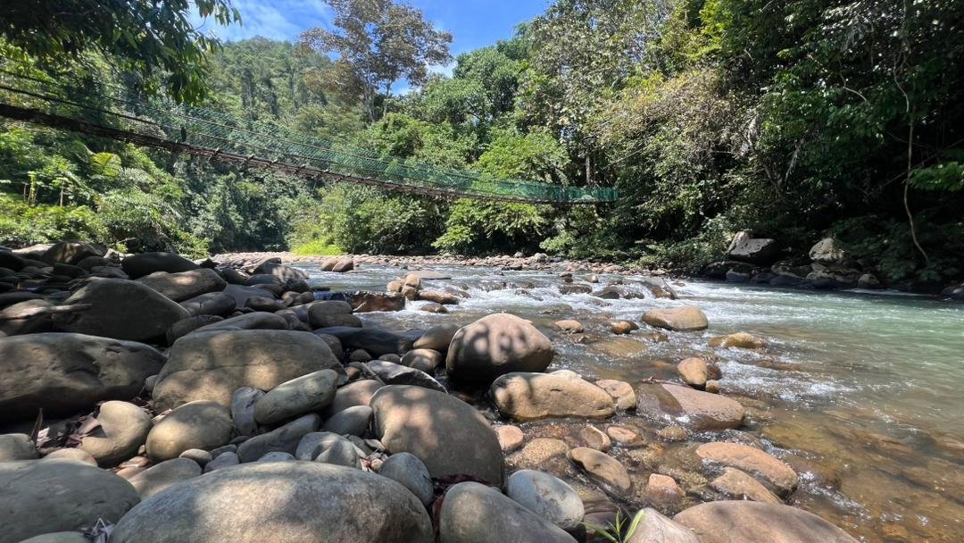 WhatsApp Image 2026-02-24 at 1.24.32 PM.jpeg