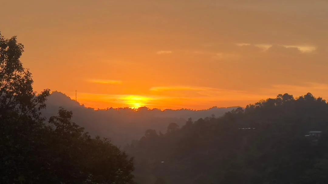 WhatsApp Image 2026-02-26 at 11.34.55 AM (3).jpeg