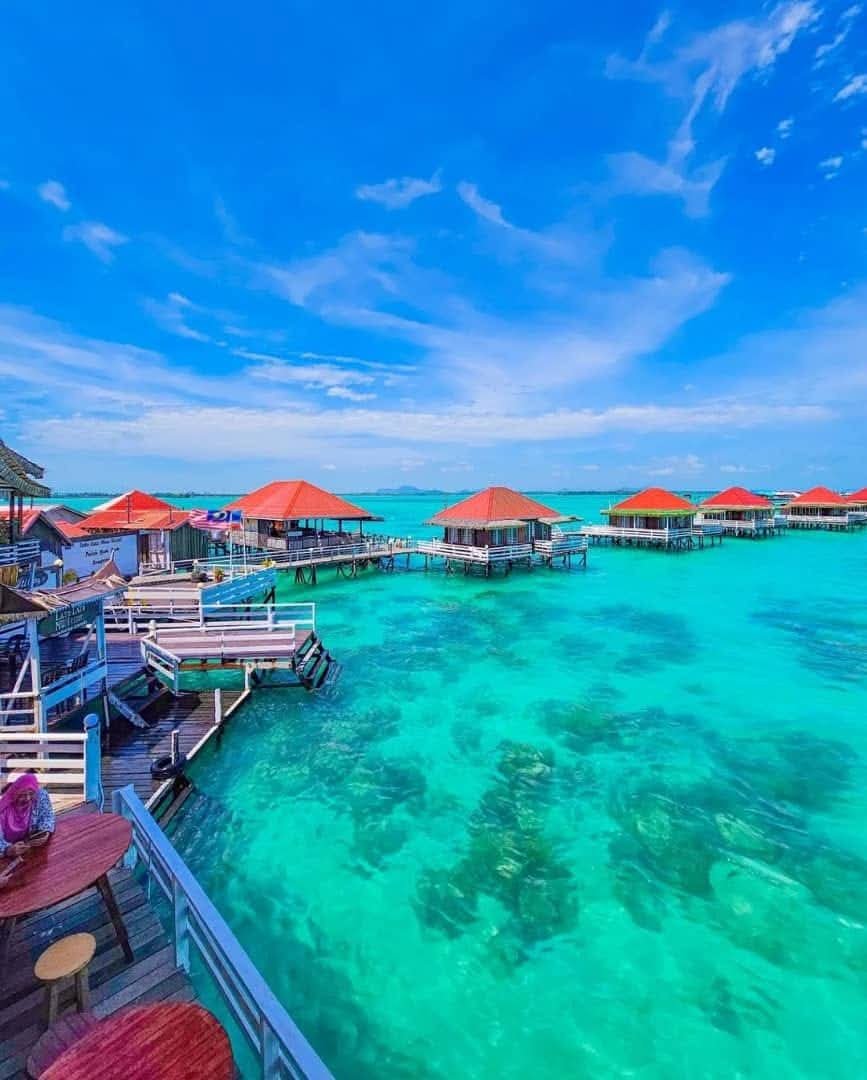 WhatsApp Image 2026-02-27 at 12.21.08 PM.jpeg