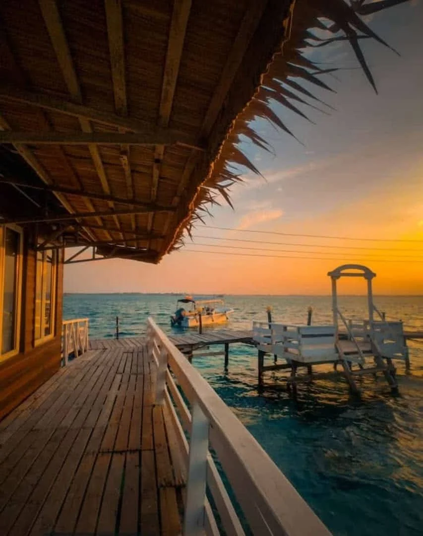 WhatsApp Image 2026-02-27 at 12.21.10 PM (1).jpeg