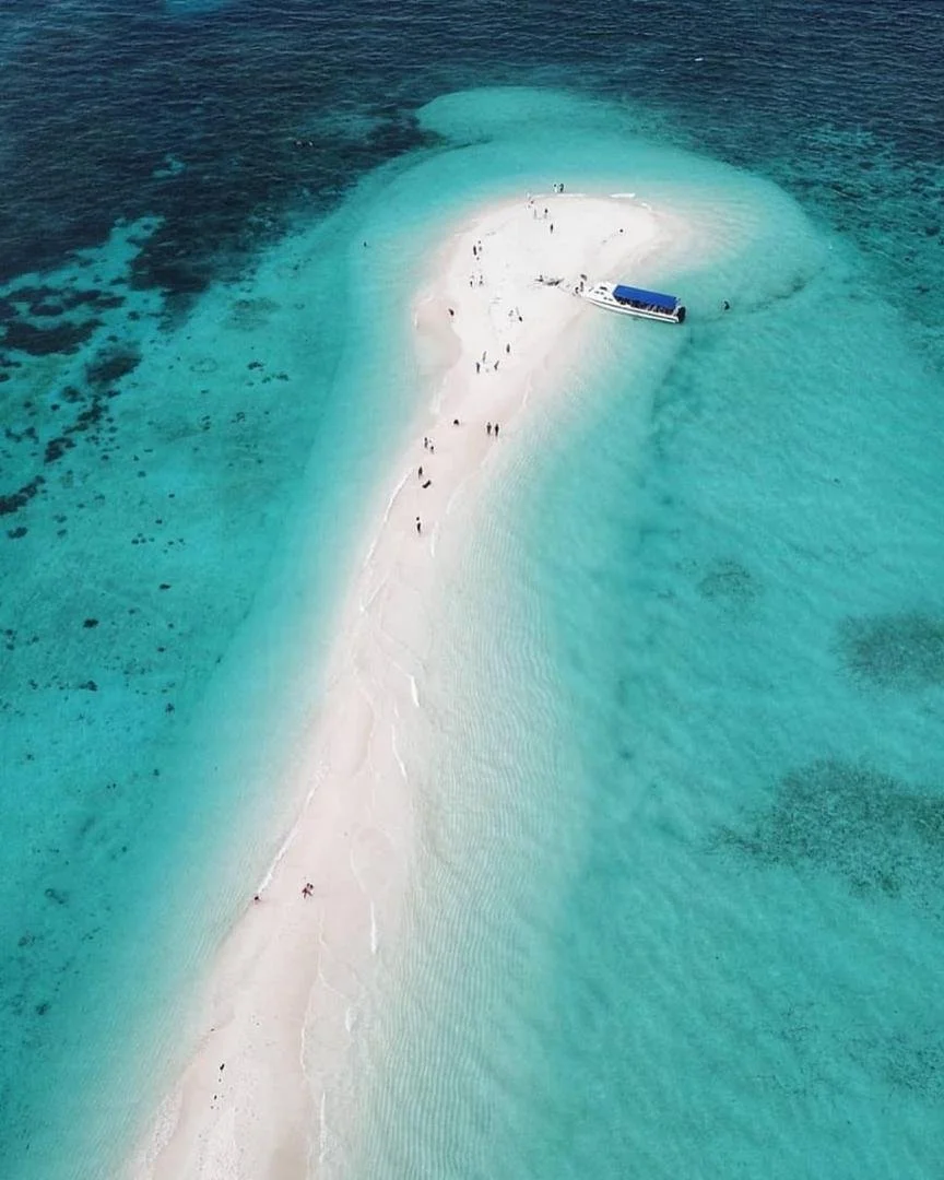 WhatsApp Image 2026-02-04 at 9.52.13 AM.jpeg