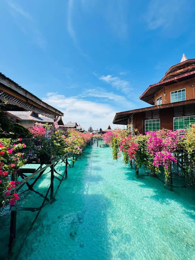 WhatsApp Image 2026-02-04 at 9.52.12 AM.jpeg