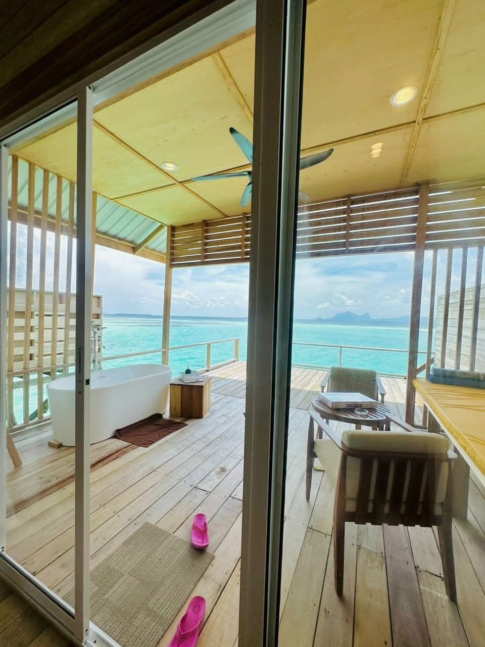 WhatsApp Image 2026-02-18 at 3.38.46 PM.jpeg