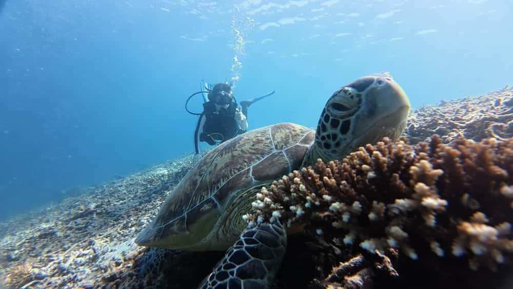 WhatsApp Image 2026-02-04 at 9.52.14 AM.jpeg