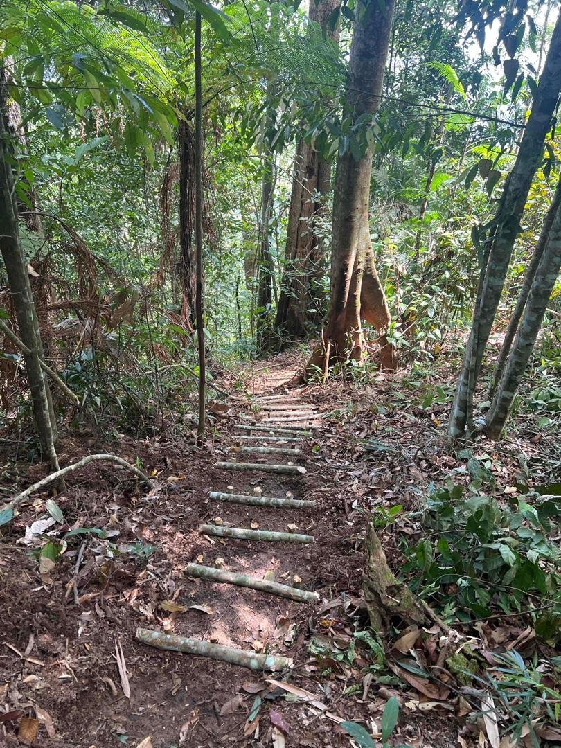 WhatsApp Image 2026-02-26 at 11.55.48 AM.jpeg