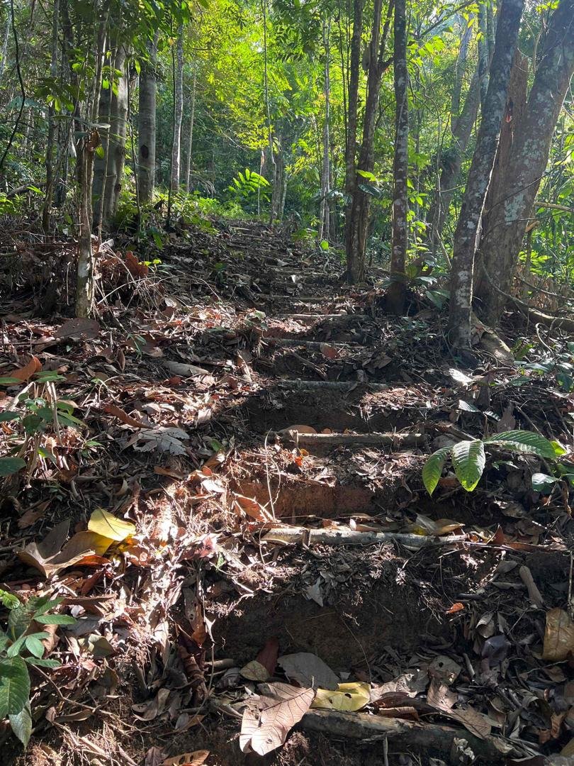 WhatsApp Image 2026-02-26 at 11.55.49 AM.jpeg