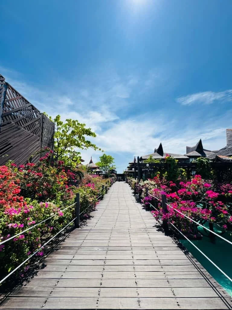 WhatsApp Image 2026-02-04 at 9.52.12 AM (1).jpeg