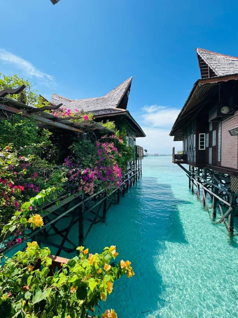 WhatsApp Image 2026-02-04 at 9.52.11 AM (1).jpeg