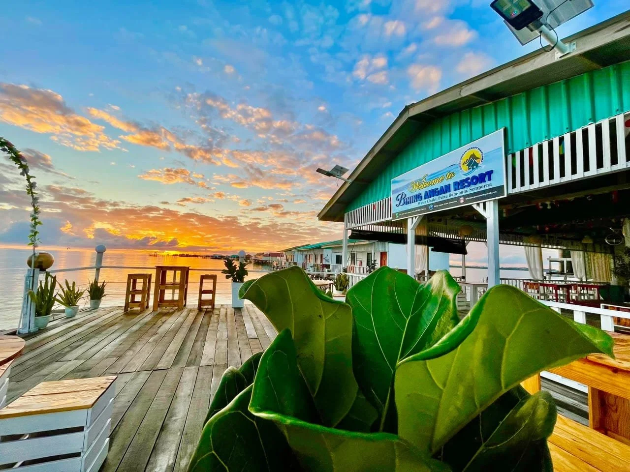 WhatsApp Image 2026-02-27 at 12.20.36 PM (1).jpeg