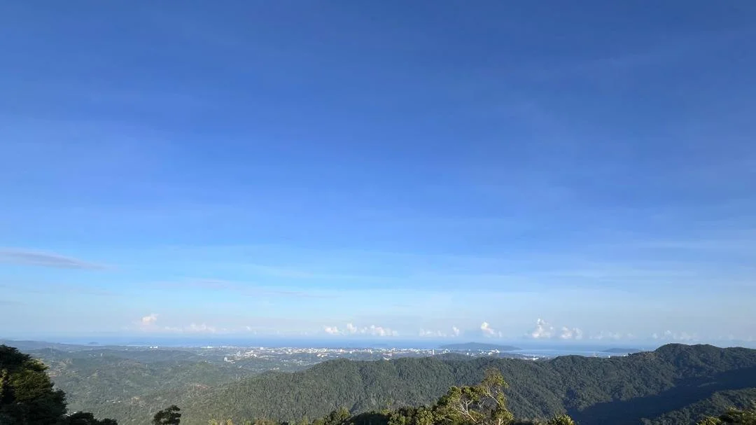 WhatsApp Image 2026-02-26 at 11.34.54 AM (2).jpeg