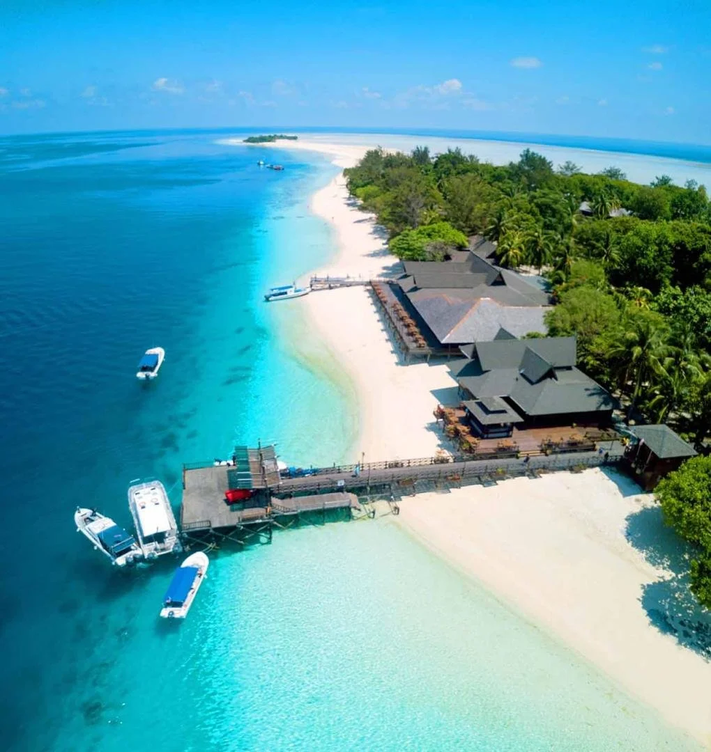 WhatsApp Image 2026-02-04 at 9.52.13 AM (2).jpeg