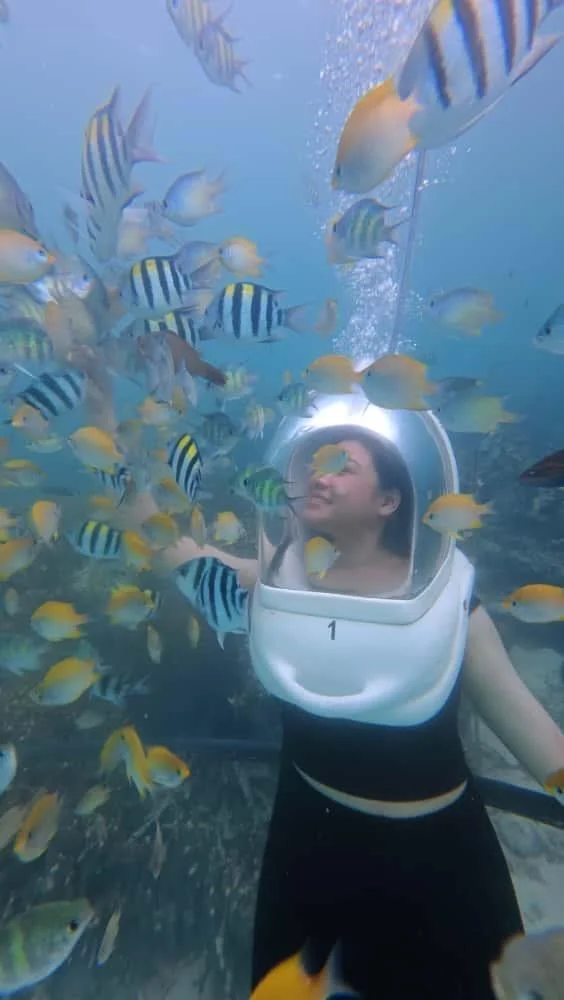 WhatsApp Image 2026-02-04 at 9.52.15 AM.jpeg