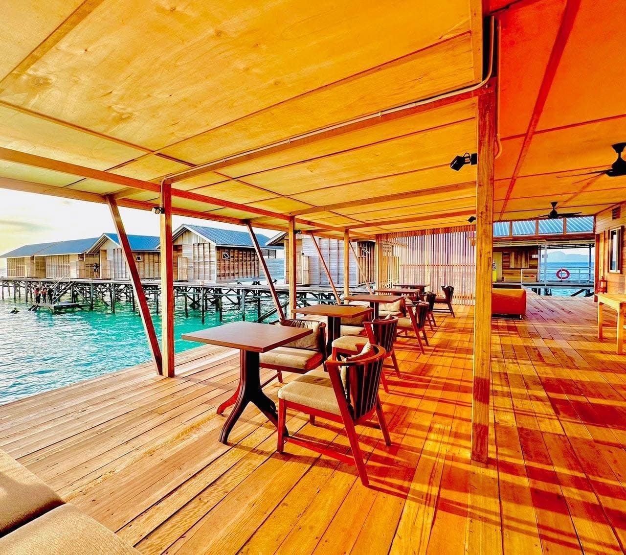 WhatsApp Image 2026-02-18 at 3.38.44 PM.jpeg