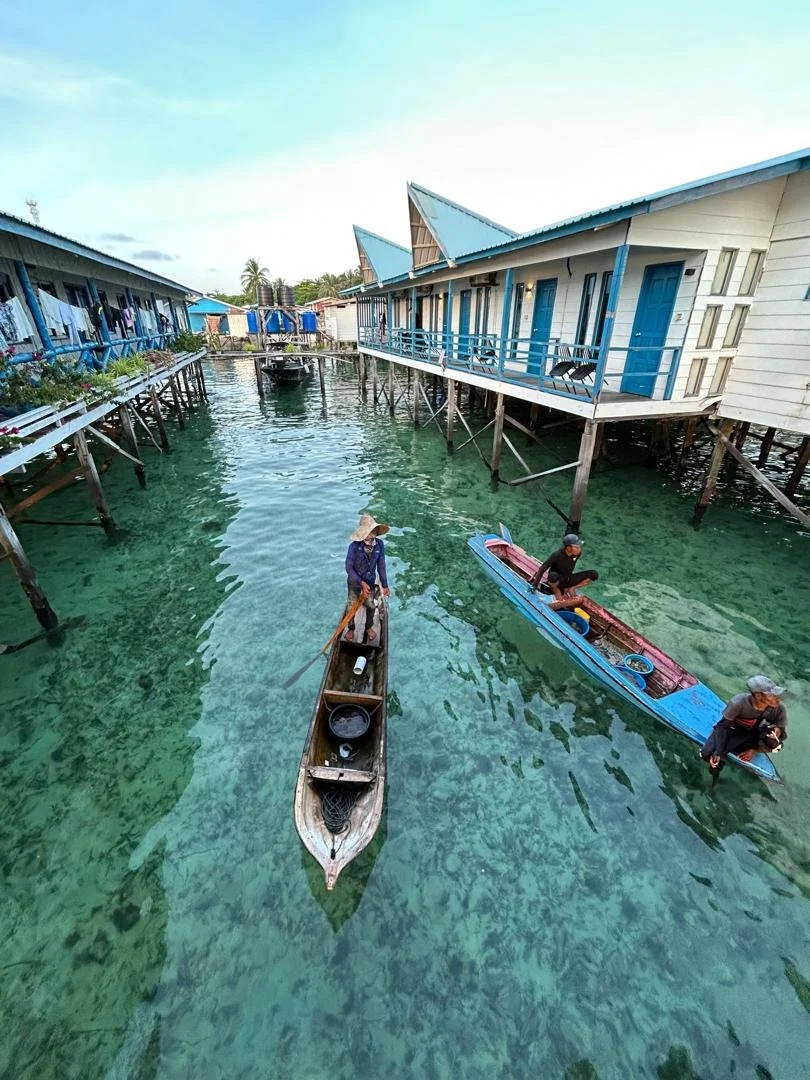 WhatsApp Image 2026-02-27 at 12.22.09 PM.jpeg