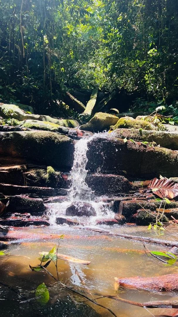 WhatsApp Image 2026-02-26 at 11.55.50 AM.jpeg