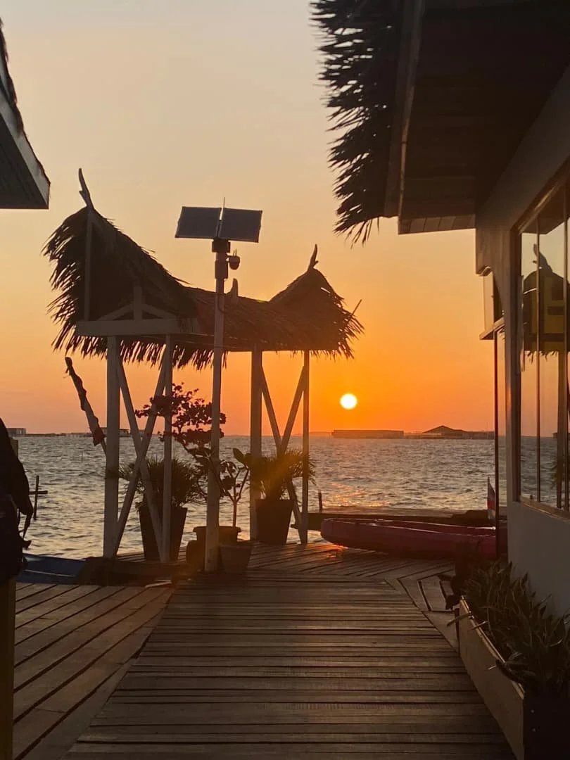 WhatsApp Image 2026-02-27 at 12.25.48 PM (1).jpeg