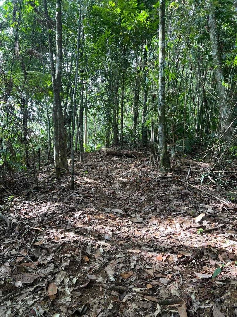 WhatsApp Image 2026-02-26 at 11.34.54 AM (3).jpeg