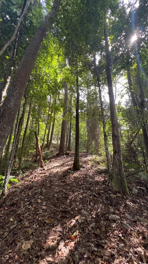 WhatsApp Image 2026-02-26 at 11.34.55 AM (5).jpeg