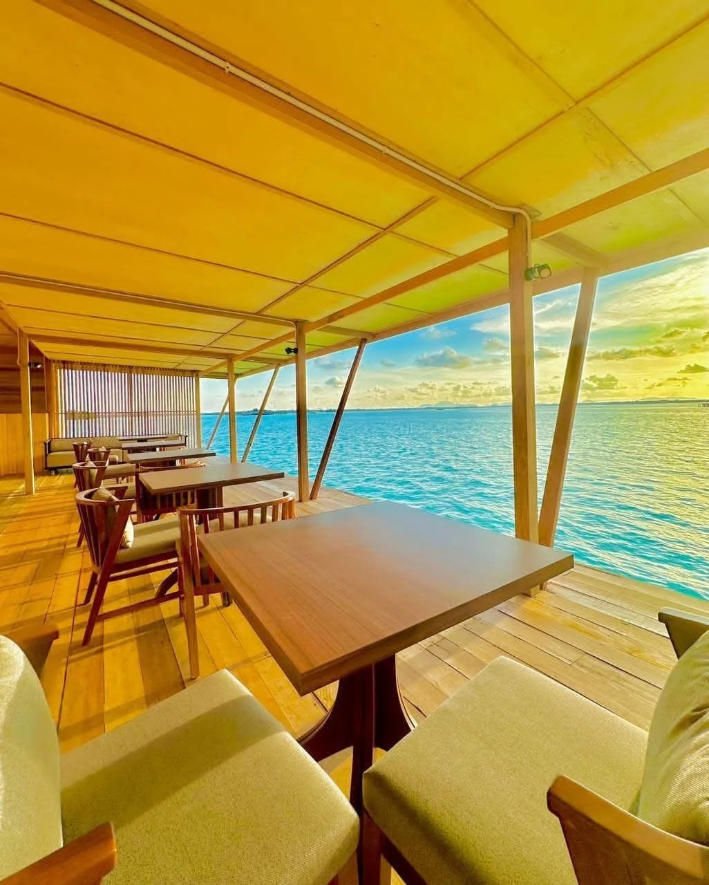 WhatsApp Image 2026-02-18 at 3.38.47 PM.jpeg