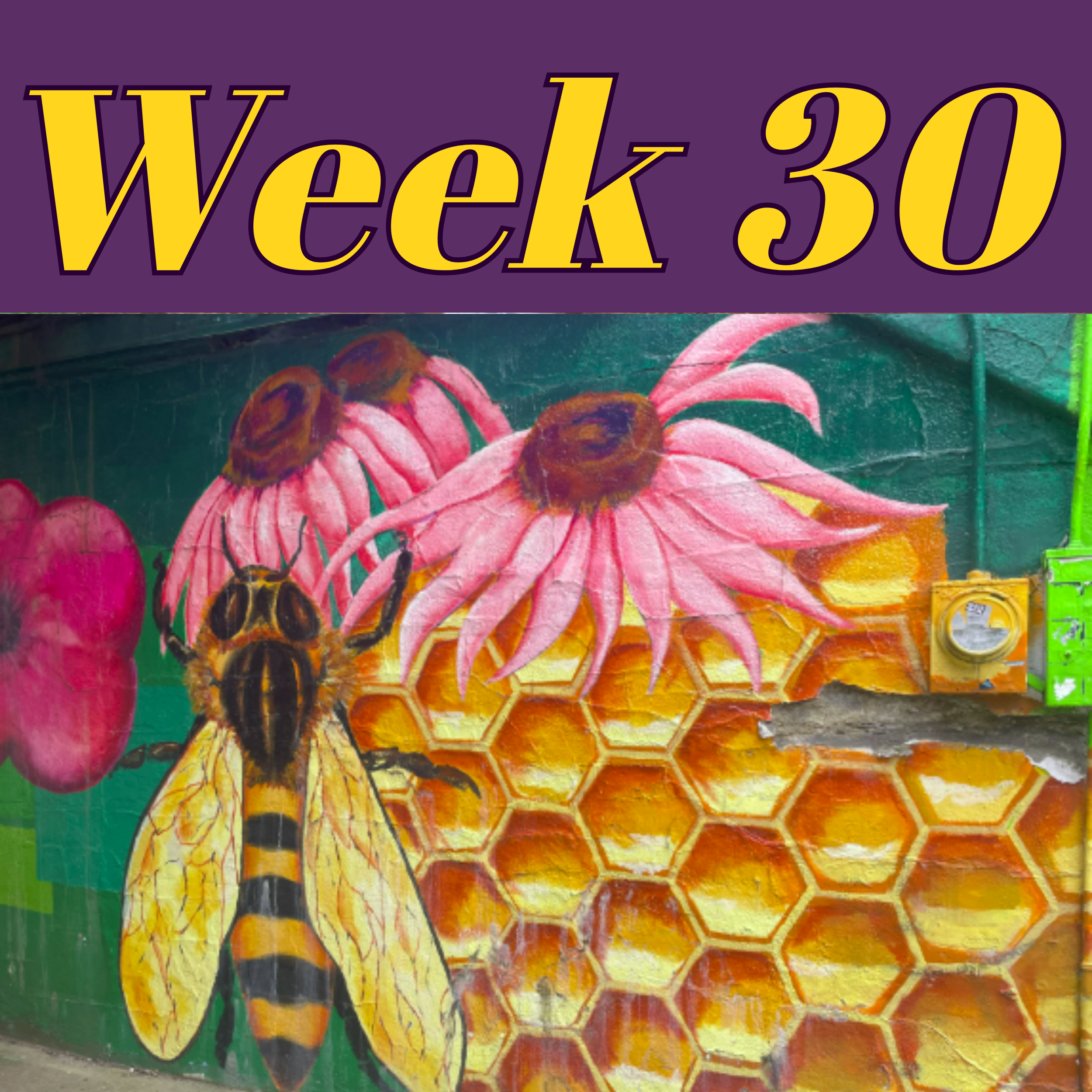 September 18th, 2026: Hunger in our Community, Bike/Bus Lane Enforcement, Big Bee