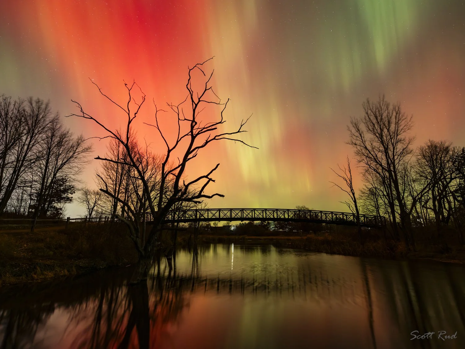 Chester Woods Lake Aurora