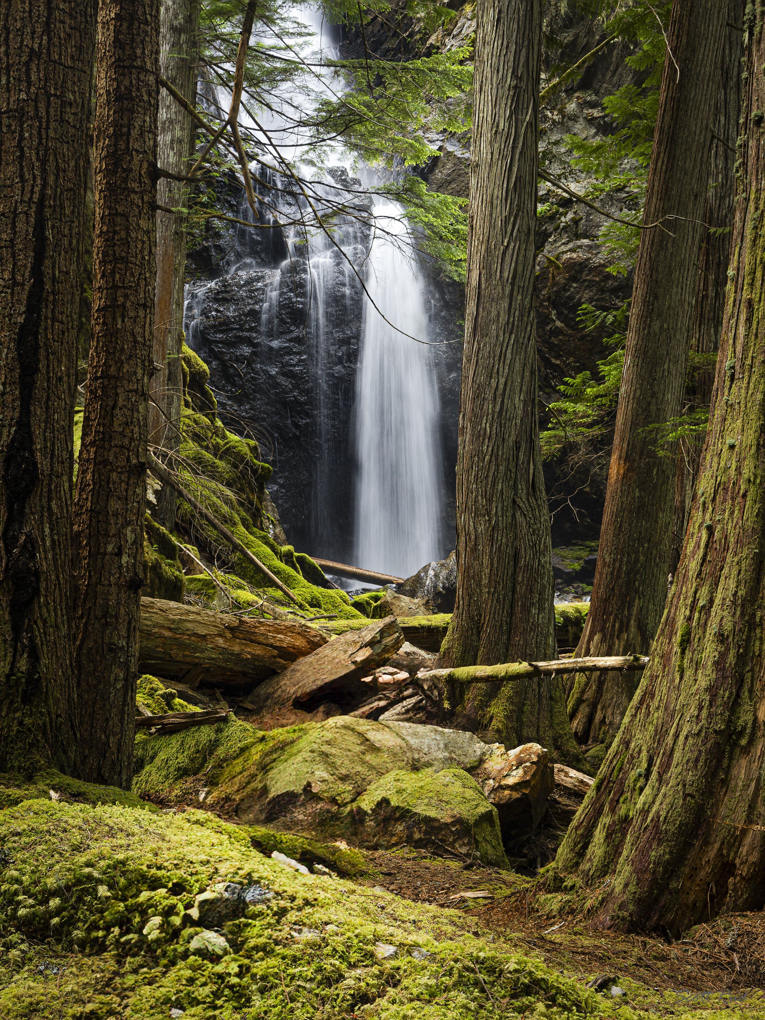 Stillness in Motion II