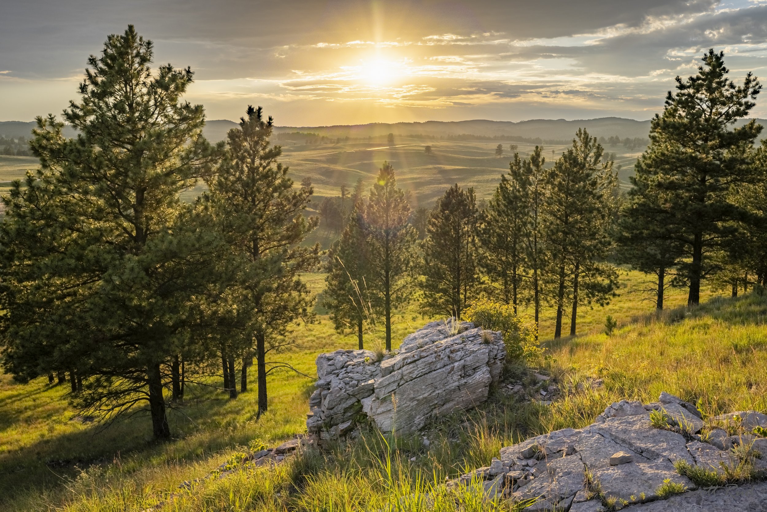 Shadows and Sunlight on the Prairie