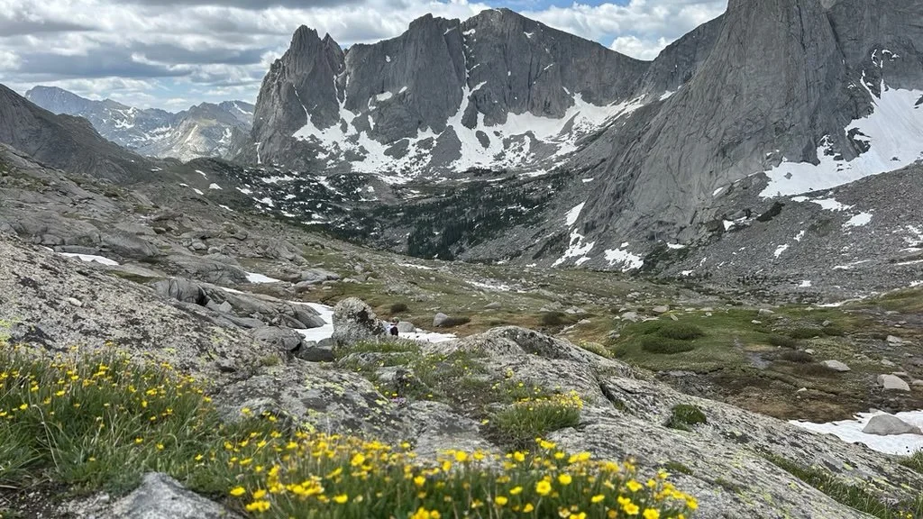 Jackass Pass Cirque of Towers