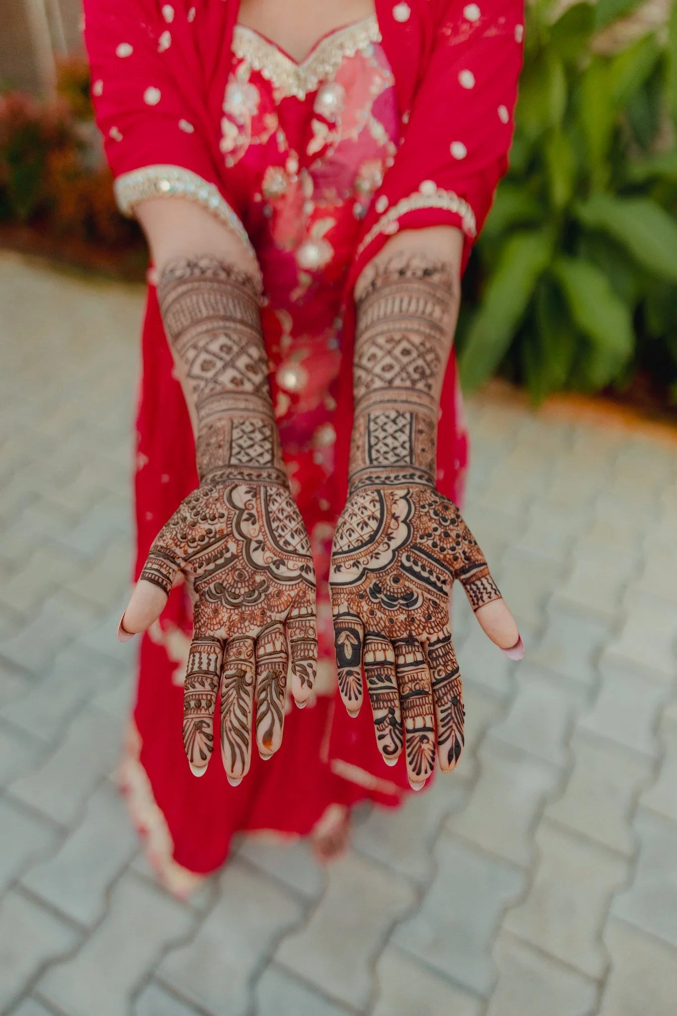 Nargis Haldi Glimpse-52.jpg