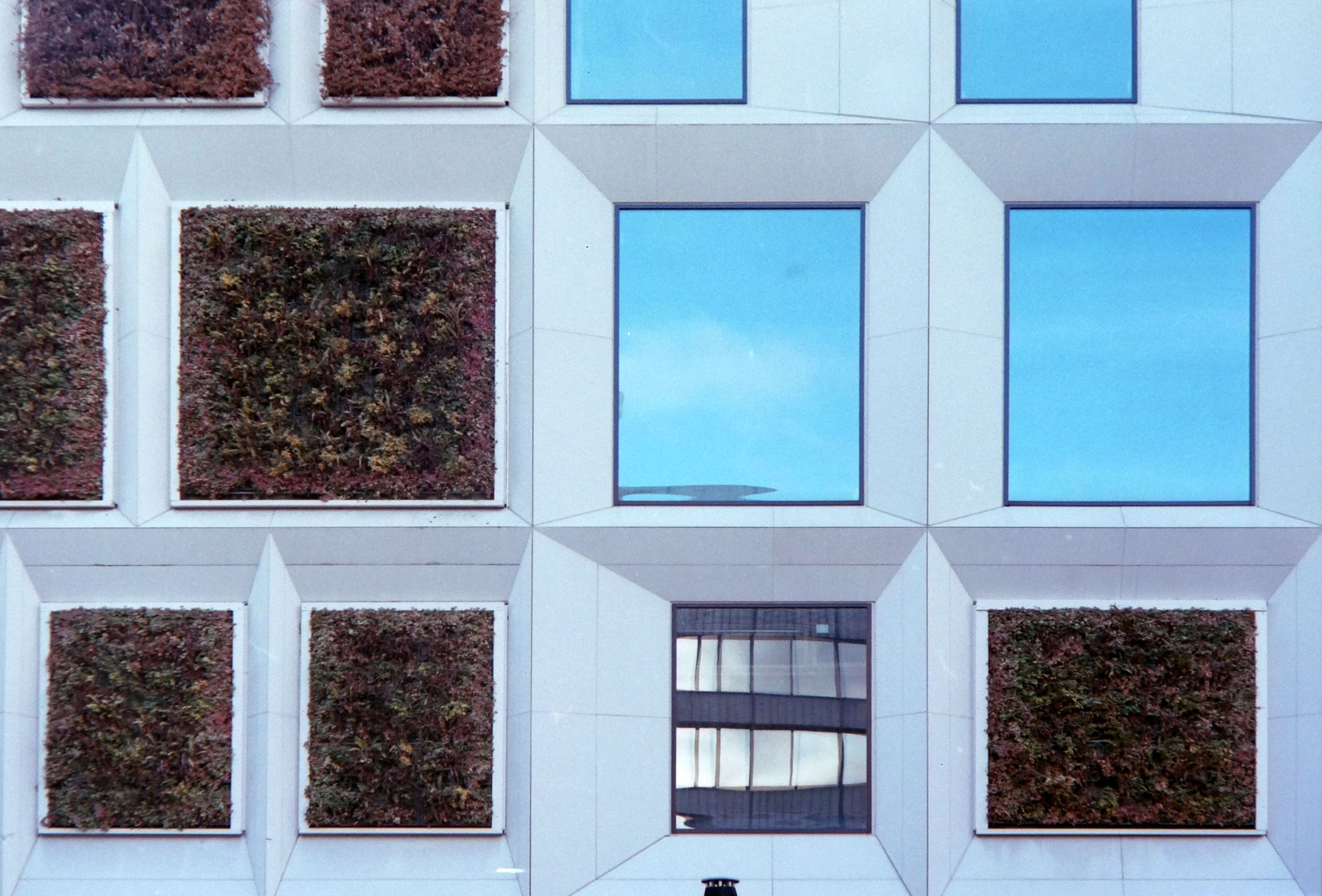 Close-up of a modern building's exterior with large reflective glass windows and square planters filled with dried or preserved plants.