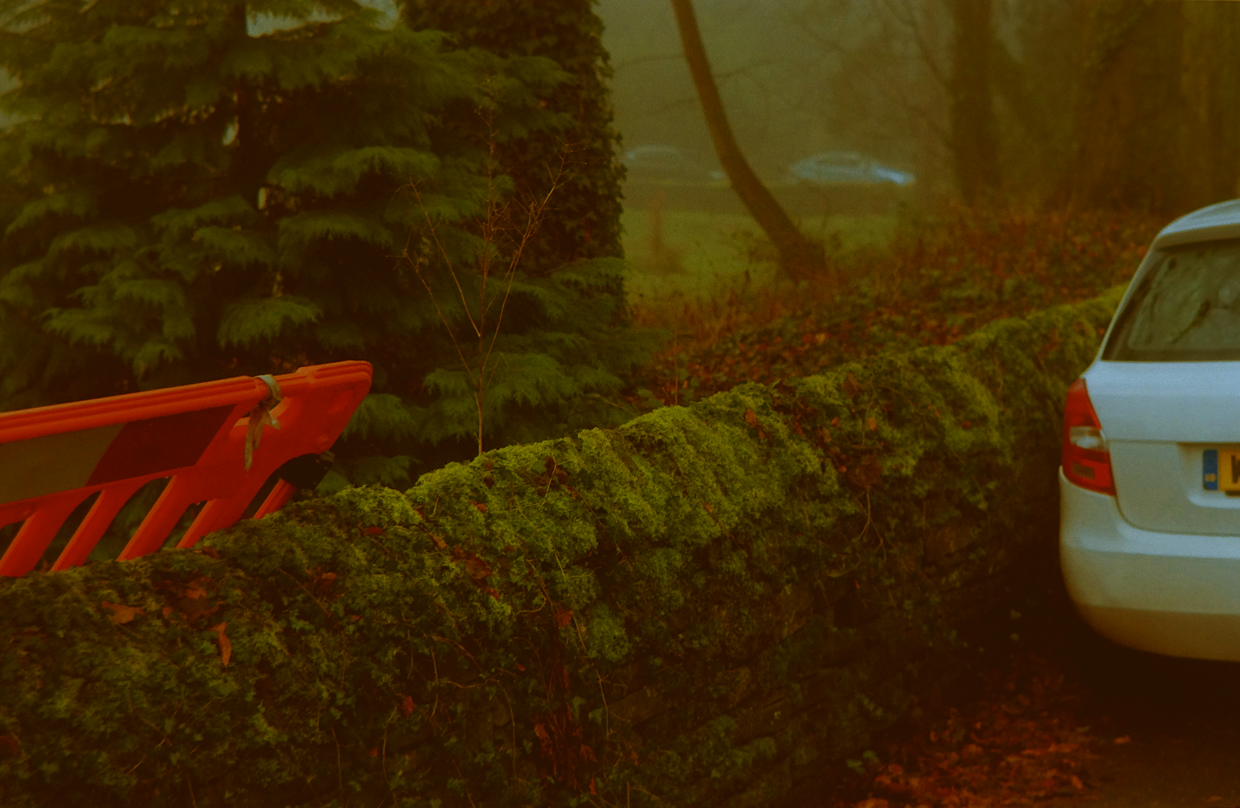 A fallen moss-covered tree blocking the road with an orange construction barrier and a silver car parked nearby, amidst a foggy, wooded area.