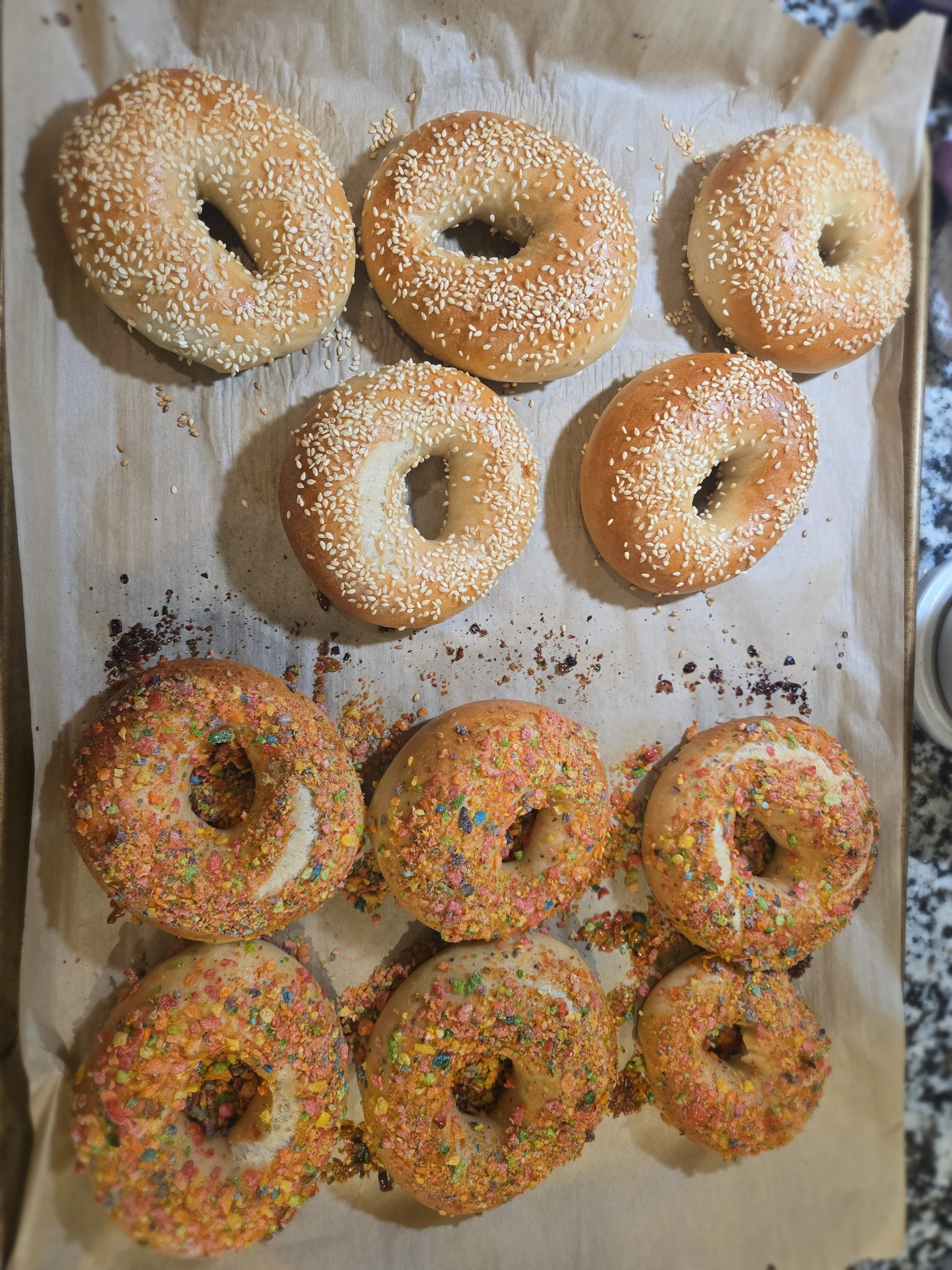 Sesame and Fruity Pebbles Bagel.jpg