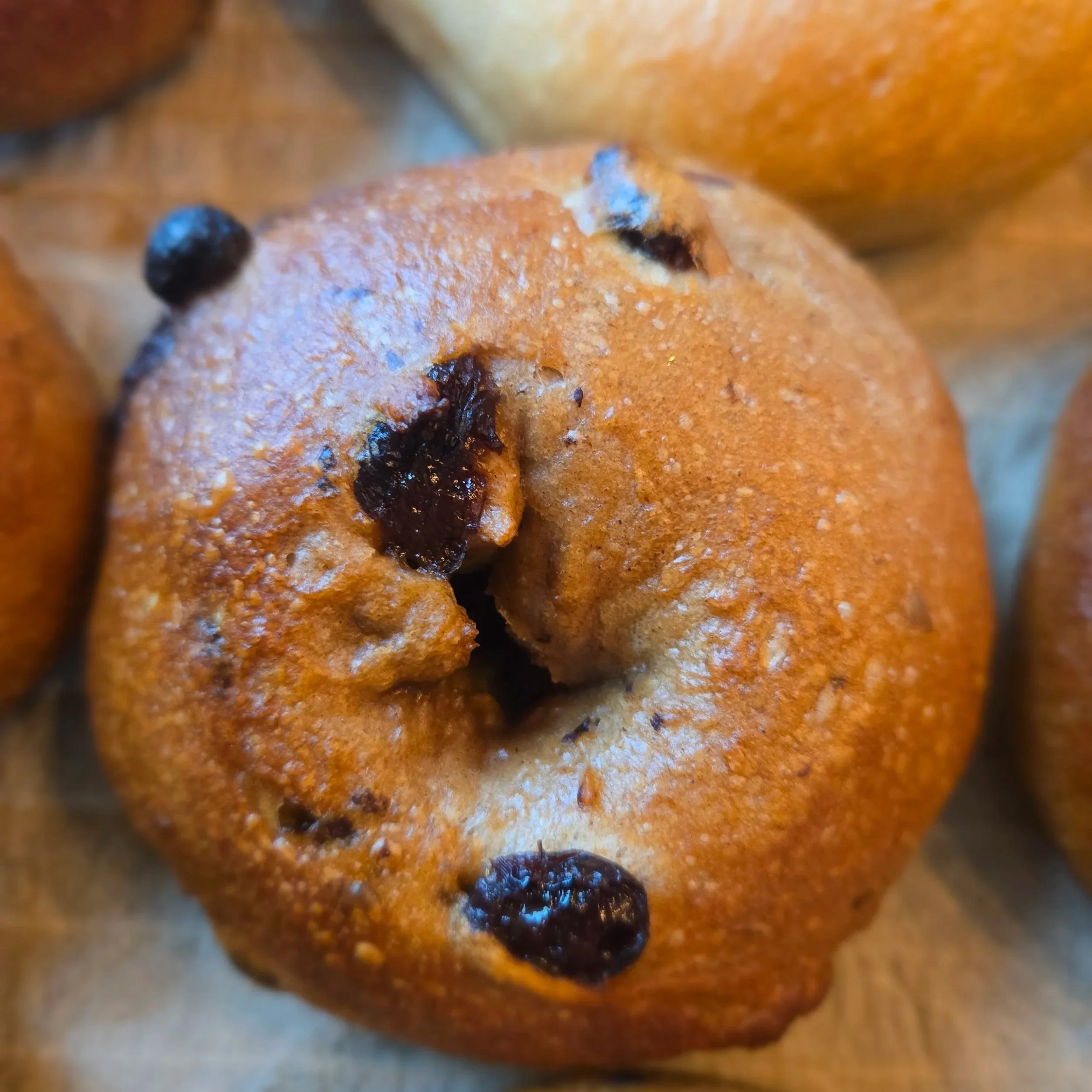 Cinnamon+raisin+Bagel.jpg